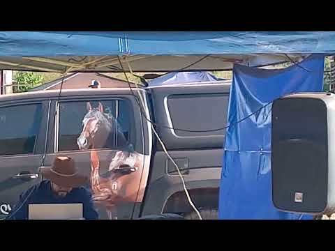 Égua Sênior de Marcha Batida. IV COPA DE CÓRREGO FUNDO-MG. 