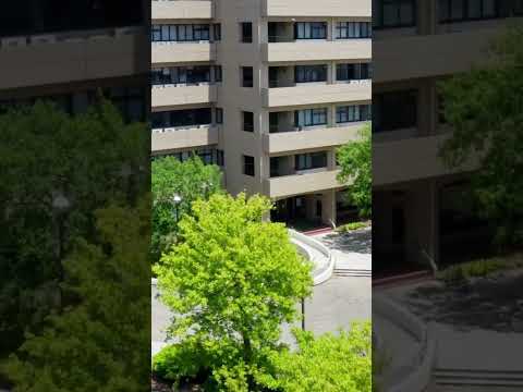 ちょっと上から、鳴教の風景をどうぞ。part2　#shorts