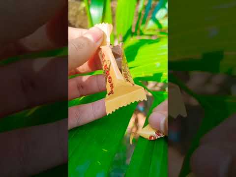 Toblerone Chocolate malayalam review/#shorts
