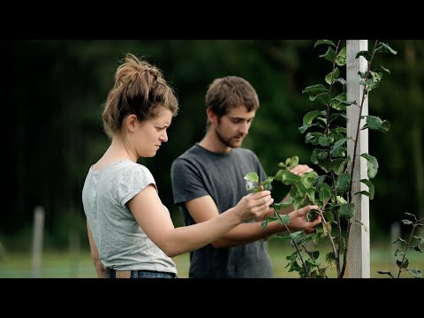 Nomination agroPreis 2022: Solidarische Landwirtschaft Tapatate, Wallenbuch: Agroforst