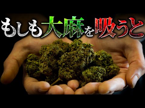 大麻を吸った後: THCが脳から排出されるまでにかかる時間