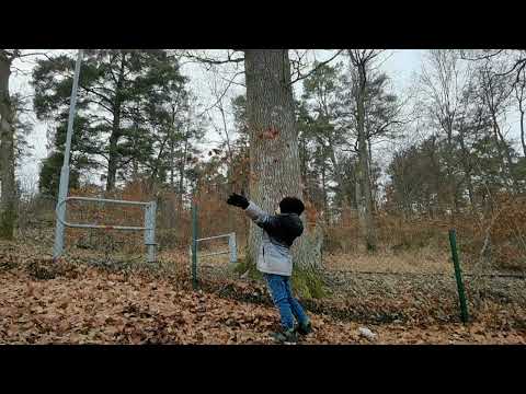 TOR H @ Espedalsskolan - Slowmotion - 2022-02-13