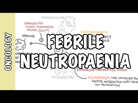 Qu'est-ce que la neutropénie fébrile - fonction des neutrophiles, physiopathologie, traitement