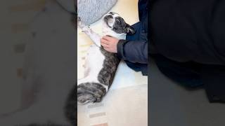 半年振りの再会に大興奮😂