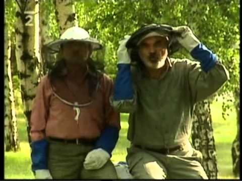 Včely - Svěrák a Uhlíř