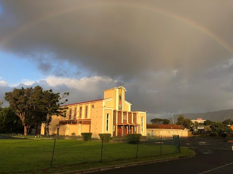 FIFTEENTH SUNDAY IN ORDINARY TIME