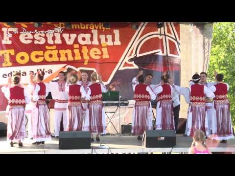Festivalul Tocanitei Dumbravita 2016