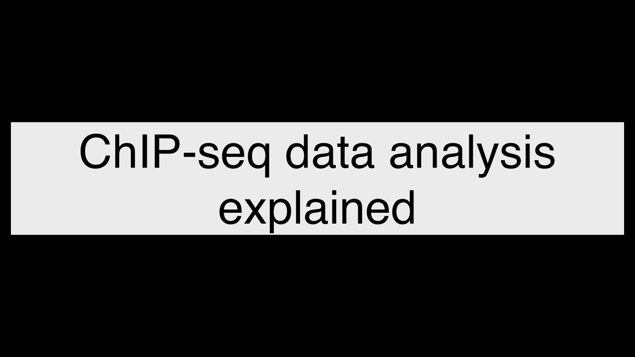 Master ChIP seq analysis: Your beginner's guide to bioinformatics