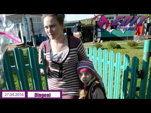Dingeni 27 04 16