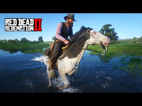 Domei um dos CAVALOS MAIS RAROS DO JOGO - O Domador de Cavalos - Red Dead Redemption 2