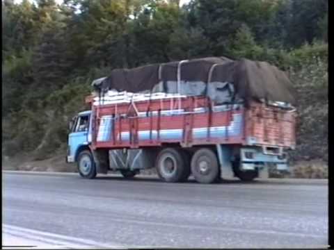 OTOBÜS-TIR-KAMYON Orient Trucking