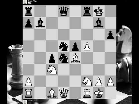 Ivan Hausner vs Susan Polgar, Kecskemet HUN, 1983