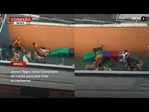 Vídeo: Jovem flagra como funcionário de creche para pets trata os cachorros em São Paulo (SP).