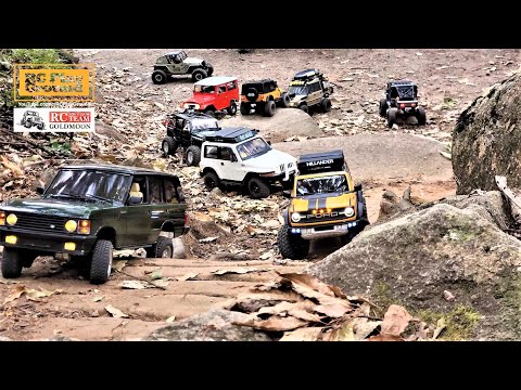 RC Car Team Trail - Forest Rock Crawling 2 - ASMR (TRX4, SCX10 II, RC4WD, BRX02, MST-CMX, Vanquish)