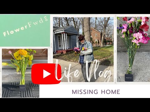 Volunteer with FlowerFwd313!