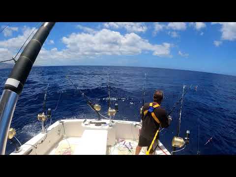 Fishwinch Marlin Fishing In Hawaii