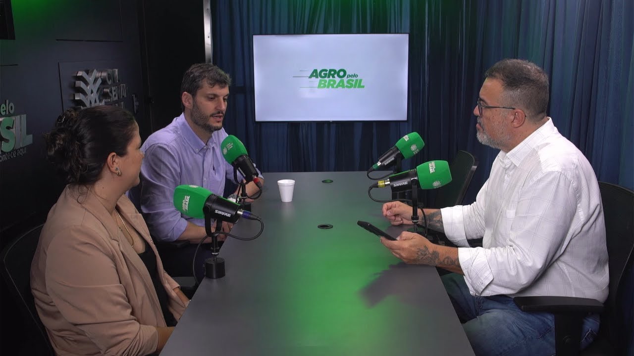 Florestas plantadas e restauração ambiental fortalecem a sustentabilidade no Brasil