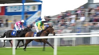 preview picture of video 'Final Meeting of 2014 Season at Roscommon Races - 29th September 2014'