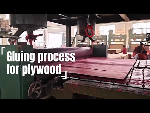 Master Plywood Bonding Techniques with Glue Spreader Machine#gluespreader#gluingmachineforplywood
