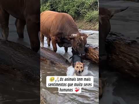 Temos Muito o Que Aprender Sobre ❤️