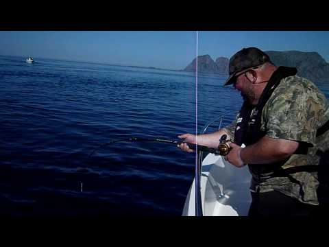 200 pound Halibut hooked