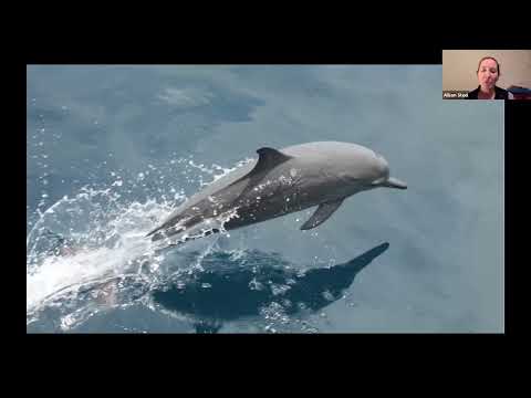 Naturetrek Roadshow: Wildlife Cruises – Bali to Komodo & Raja Ampat