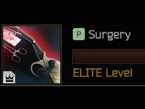 What Escape from Tarkov Patch 12.11 Surgery Elite looks like&Berserk mode test