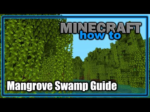 Everything About the Mangrove Swamp Biome! (1.19+) | Easy Minecraft Biome Guide