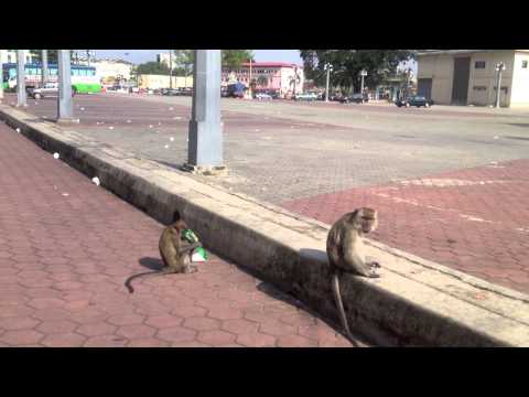 GET AWAY (=====Official Video)   Unknown Mizery & Arkeologists