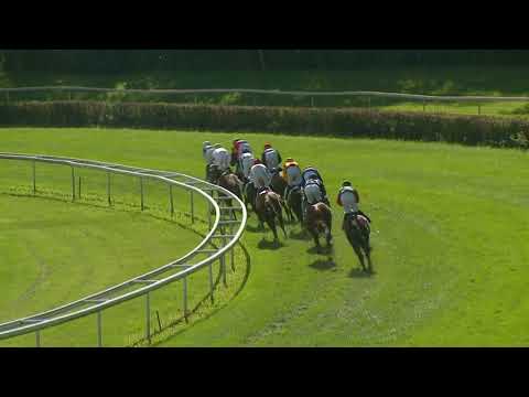 Dielsdorf/24.09.2023/Preis der Horse Park's