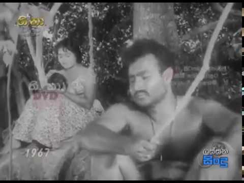 ඔන්චිල්ලා තොටිලි කොයින්දෝ සූර චෞරයා  චිත්‍රපටය 1967 ගාමිණී පොන්සේකා සමඟ සන්ධ්‍යා කුමාරී   YouTube 36