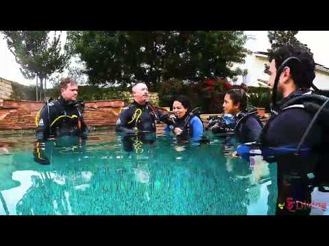 SCDiving | The Most Important part of the Scuba Diver Buddy Check