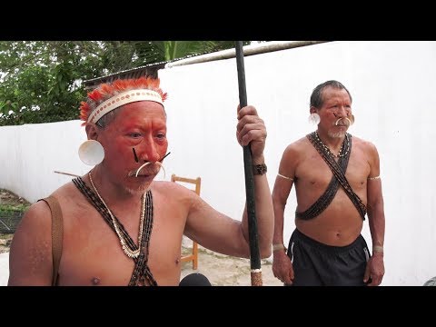 #Sínodo ¿Qué pasa en la Amazonía?