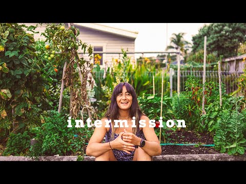 oh hey, it's been a while.