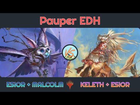 Esior & Malcolm vs. Keleth & Esior - Pauper EDH│MTG│bitzelberg