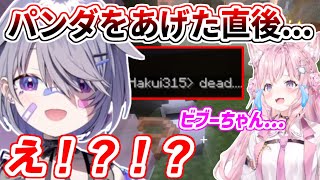 こより先輩にパンダをプレゼントするビブー。あげた直後に悲劇が...【ホロライブ切り抜き/古石ビジュー/博衣こより】