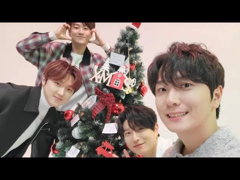 How do Forestella celebrate Christmas? 🌲✨️😂