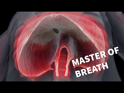 Breathing Life: The Power of the Diaphragm