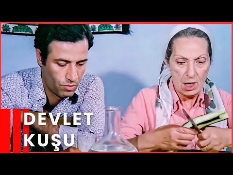 Devlet Kuşu | Kemal Sunal Komedi Filmi İzle