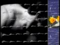 The Skeptic (vintage ambient video 1992) Brent Braniff