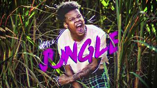 NASTY C - Jungle (prod by Cxdy) [Official Audio]