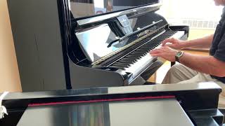 Video thumbnail for "Welcome To My World" ,C. Bechstein Concert 8 by Cornell B’s Music