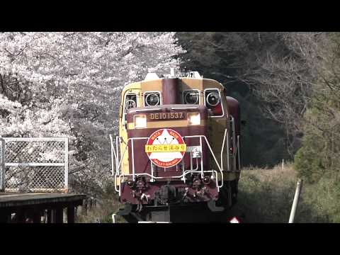 わたらせ渓谷鐵道・春