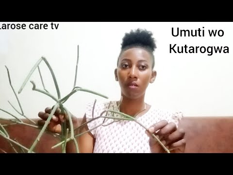 Umuti wo kutarogwa,umuti wo kumenya uwakuroze