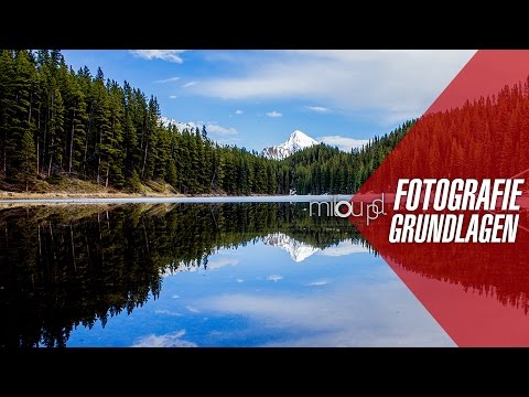 Was ist ISO? - Einfach Fotografieren lernen | Milou PD Tipps