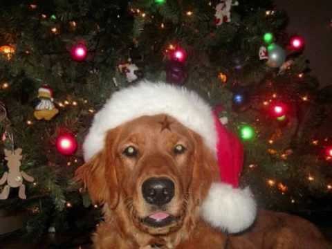 Santas little helpers!