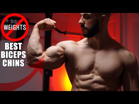 The BEST Chinups For Big Biceps | NO WEIGHTS!
