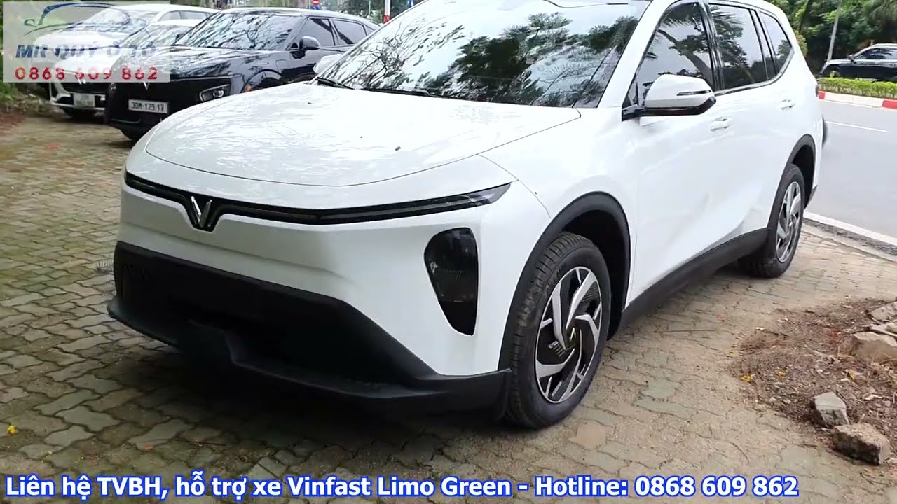 🚗 2026 VinFast Limo Green clearance sale, great price, ready for immediate delivery in May. Top o...