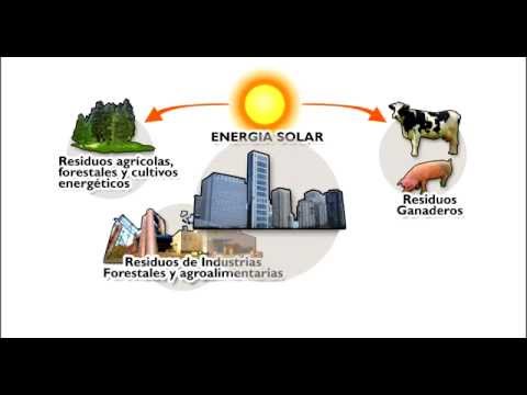 Esquema Tranformacion biomasa