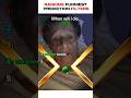 Ranking Funniest Prediction Filters Funny Filters